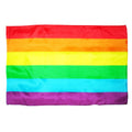 PRIDE - LGBT-FLAGGE MITTLERE – Erotik-Zubehör Bild 1