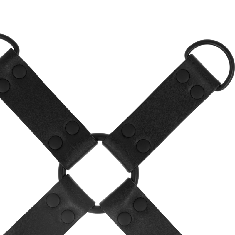 INTENSE - FETISH HOG TIE – INTENSE - FETISH HOG TIE Bild 10