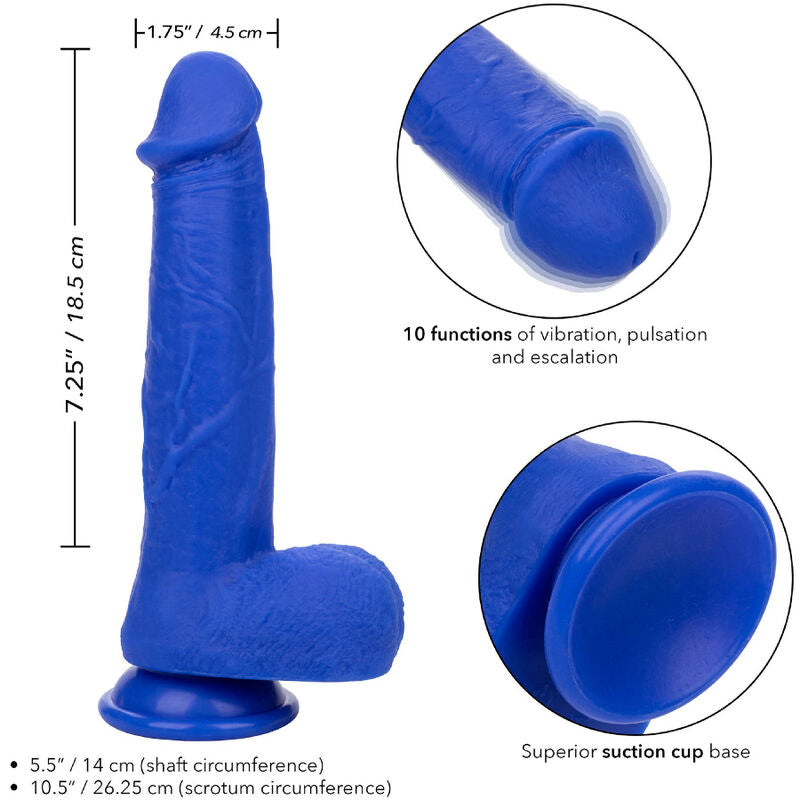 CALEXOTICS - ADMIRAL KAPITN REALISTISCHER DILDO-VIBRATOR BLAU Produktansicht und Details