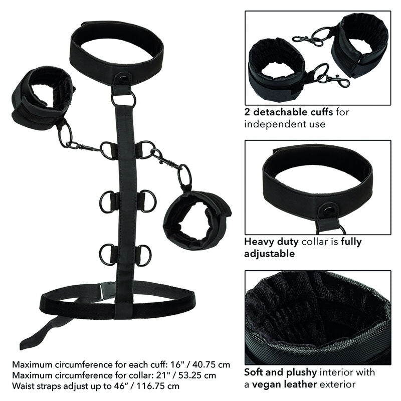CALEXOTICS Boundless Collar Body Harness – Verstellbarer Kragen mit Manschetten für BDSM & Bondage – Dessous-Body Bild 12