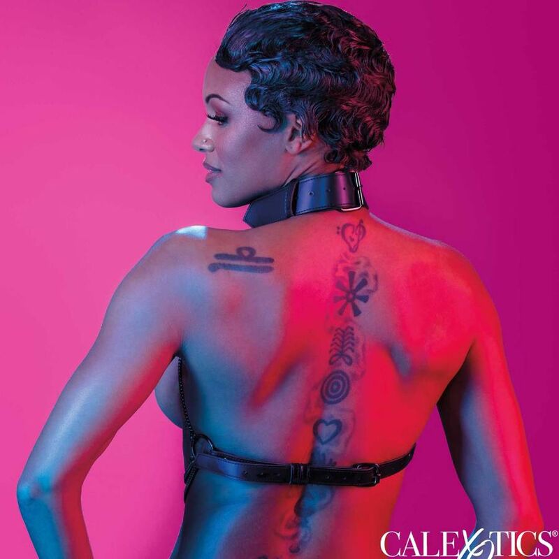 CALEXOTICS Euphoria Multi Chain Collar Harness – Verstellbares veganes Leder-Halsband für Fetisch & Bondage | Secet Pulse