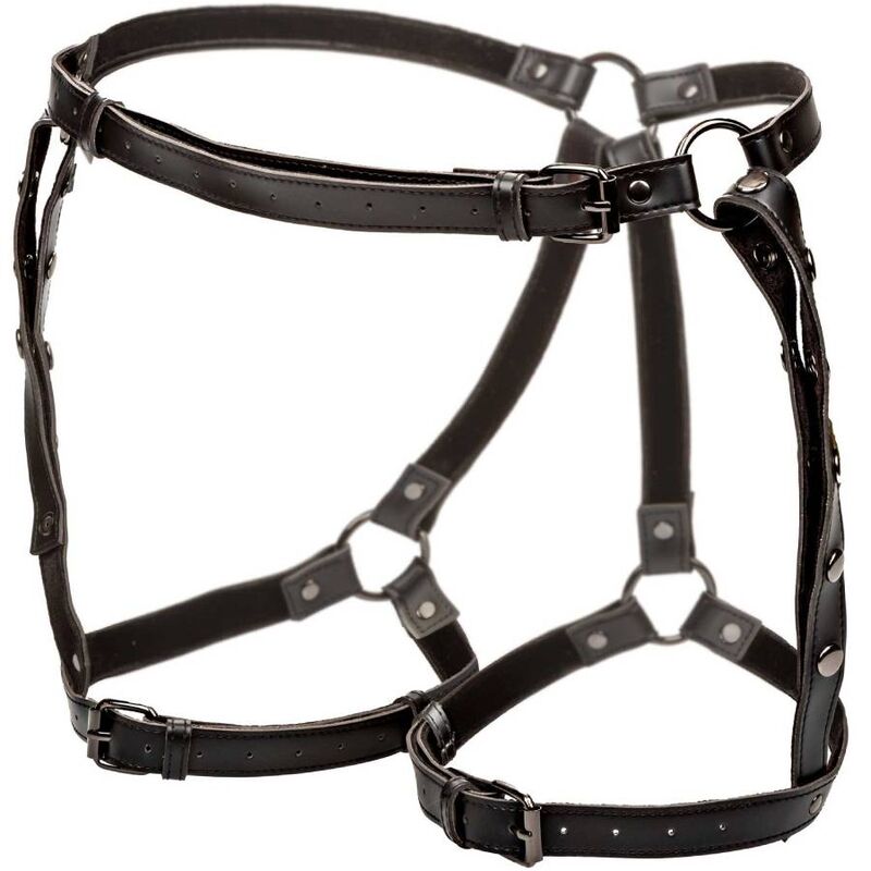 CalExotics Euphoria Reit-Oberschenkelgeschirr Plus – Verstellbar, Veganleder, Premium BDSM – BDSM-Zubehör Bild 7