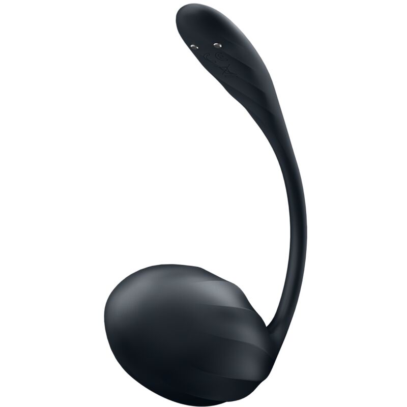 Satisfyer Ribbed Petal G-Punkt Stimulator Schwarz – App & Fernbedienung, wasserdicht – Klitorisstimulator Bild 3