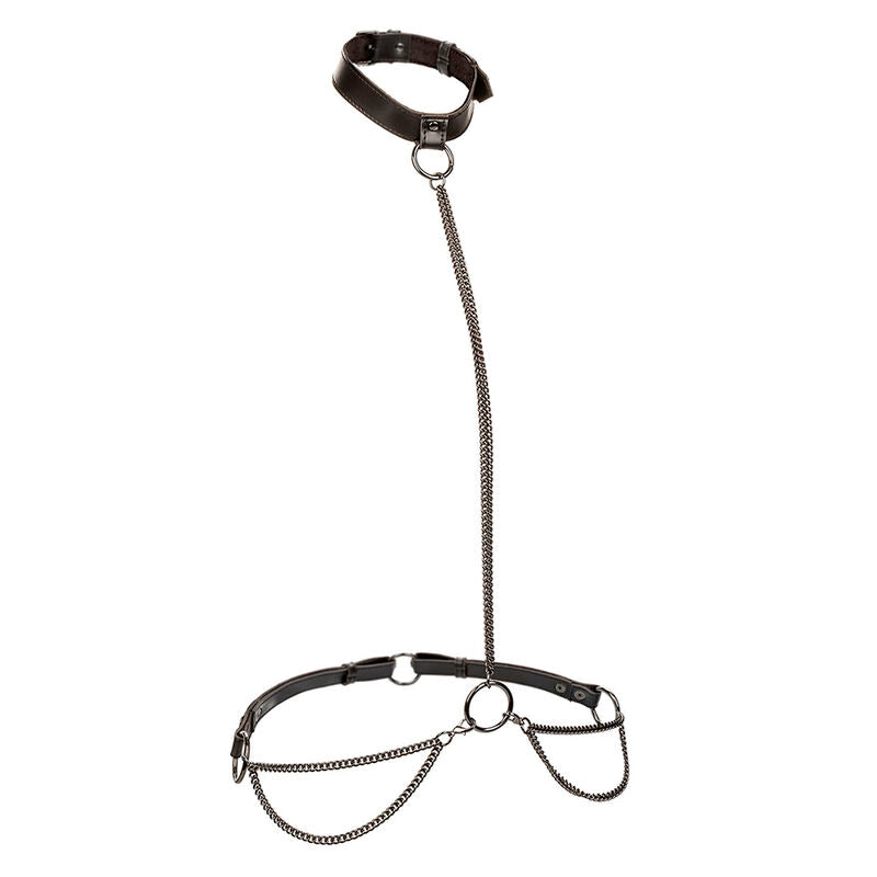 CalExotics Euphoria Kettenhalter Halsband & Leine – Veganes Leder, Samt, Verstellbar – BDSM-Zubehör Bild 3