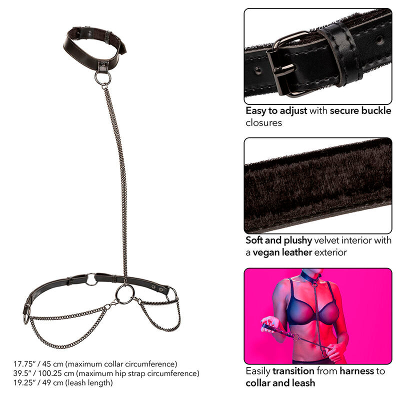CalExotics Euphoria Kettenhalter Halsband & Leine – Veganes Leder, Samt, Verstellbar – BDSM-Zubehör Bild 6