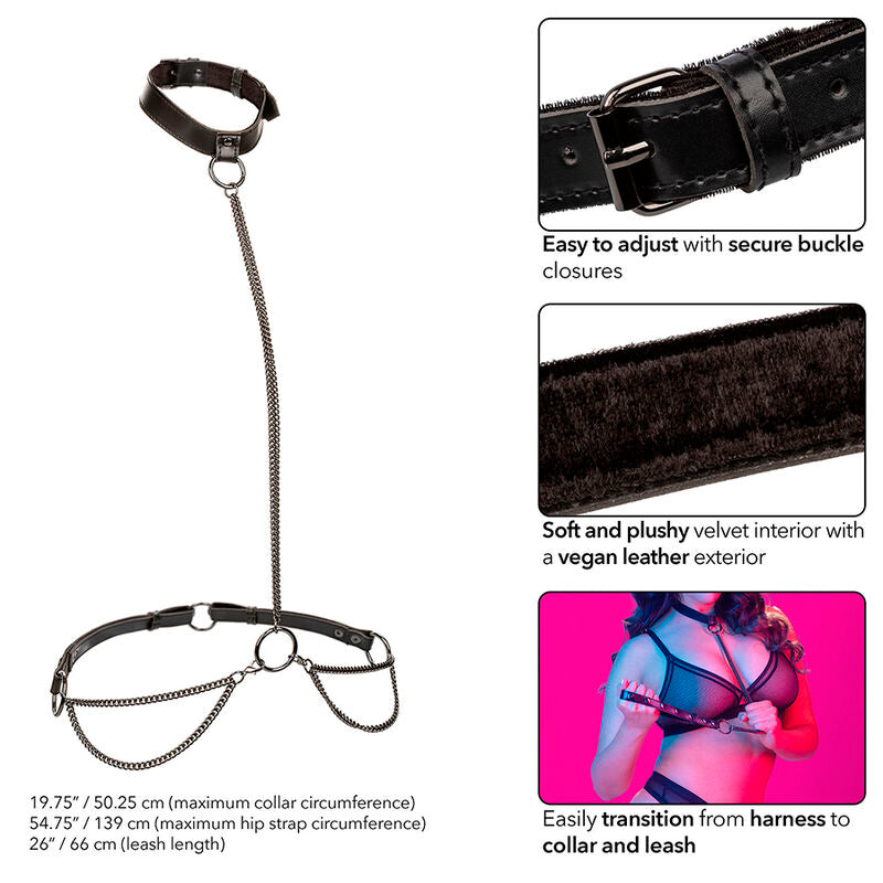 CalExotics Euphoria Kettenhalter Halsband & Leine – Übergröße, Veganes Leder & Samt – BDSM-Zubehör Bild 10