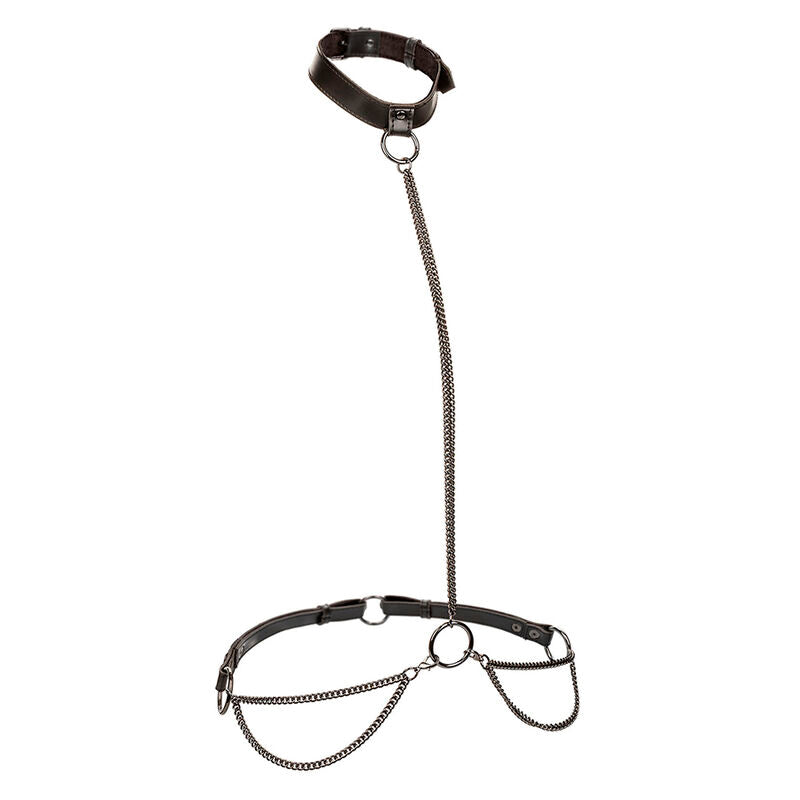 CalExotics Euphoria Kettenhalter Halsband & Leine – Übergröße, Veganes Leder & Samt – BDSM-Zubehör Bild 4