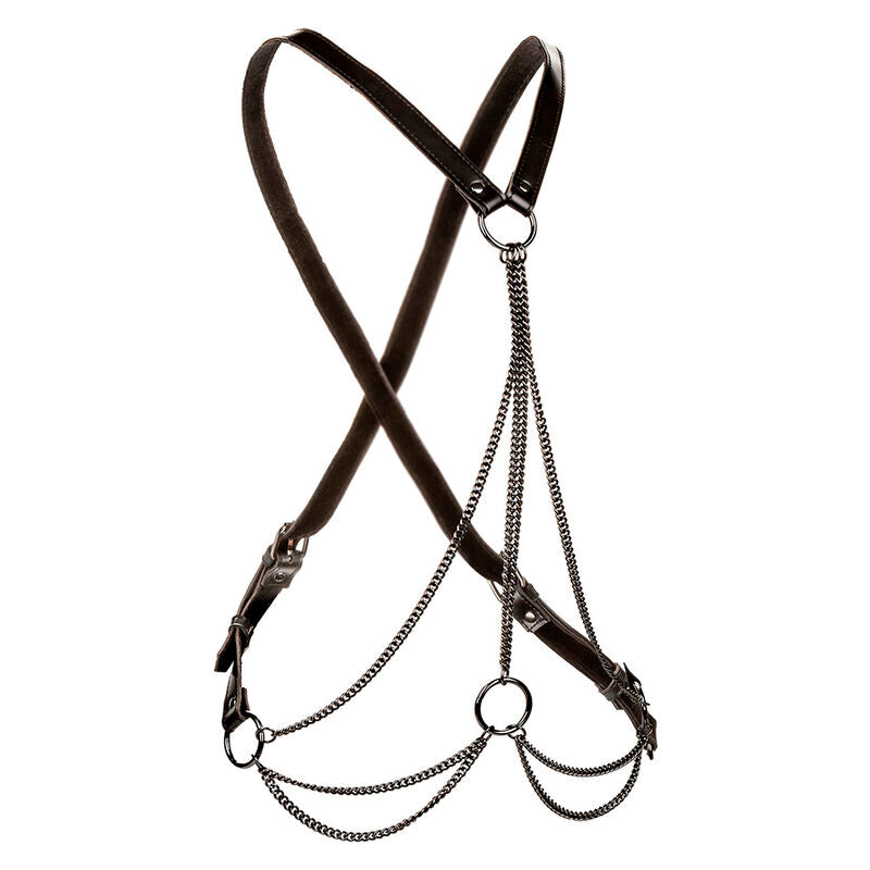 CALEXOTICS - EUPHORIA MULTICHAIN HARNESS PREMIUM – BDSM-Zubehör Bild 4