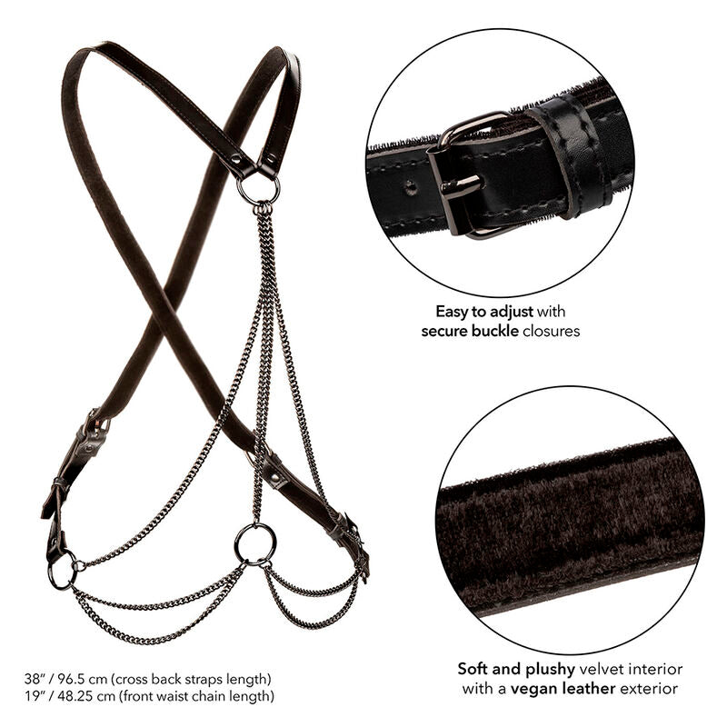 CALEXOTICS - EUPHORIA MULTICHAIN HARNESS PREMIUM ÜBERGRÖSSE – BDSM-Zubehör Bild 5