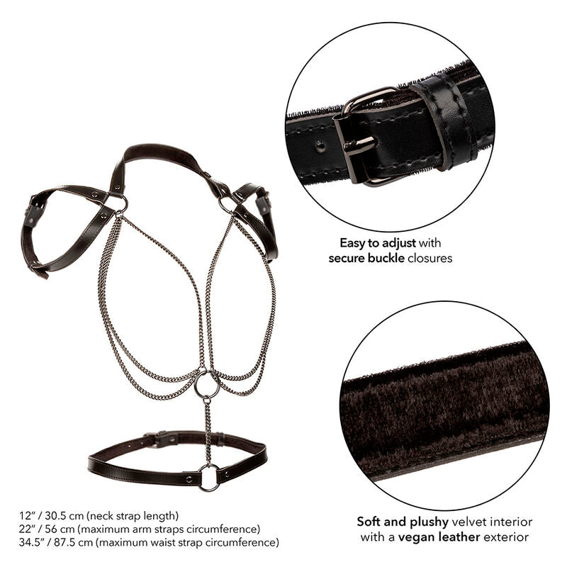CALEXOTICS - EUPHORIA MULTICHAIN HALTER HARNESS PREMIUM – BDSM-Zubehör Bild 6