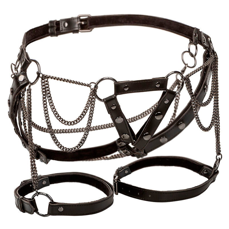 CALEXOTICS - EUPHORIA MULTICHAIN OBERSCHENKELHARNESS PREMIUM PLUS GRÖSSE – BDSM-Zubehör Bild 4