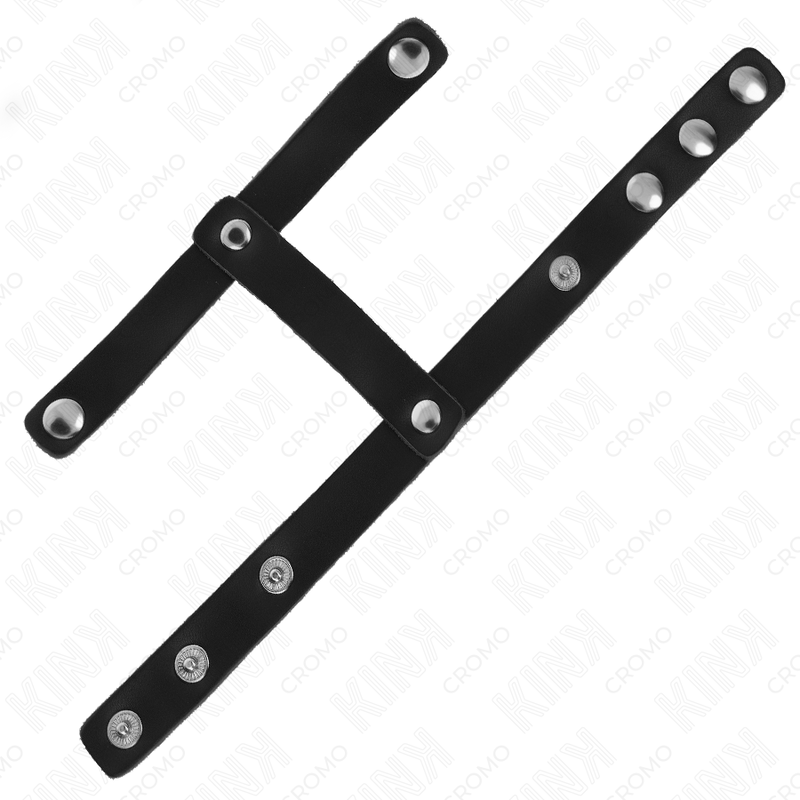 KINK - VERSTELLBARER PENISRING AUS LEDER UND HODENTEILGURT bei Secret Pulse im Erotikshop