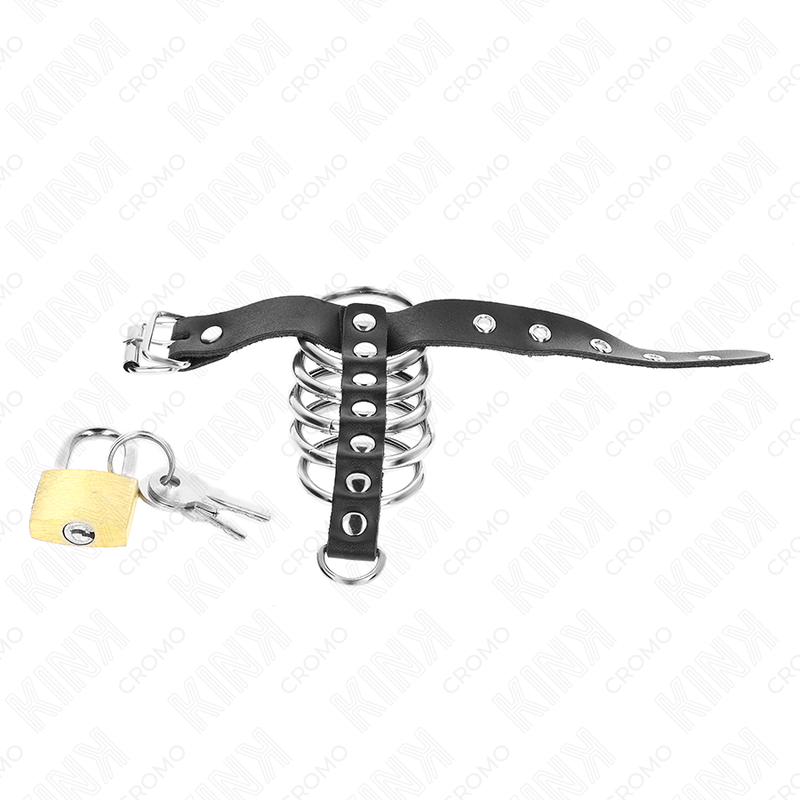 KINK - PENISRING AUS LEDER MIT VERSCHLUSSBAND 21 X 2 CM UND 5 METALLRINGEN VON 3 CM BIS 4 CM hochwertiges Zubehör