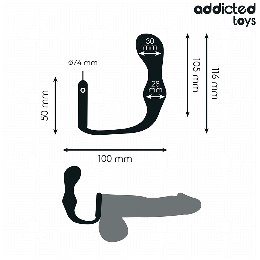 ADDICTED TOYS - ANALPLUG MIT RING MODELL 3 für sinnliche und diskrete Momente