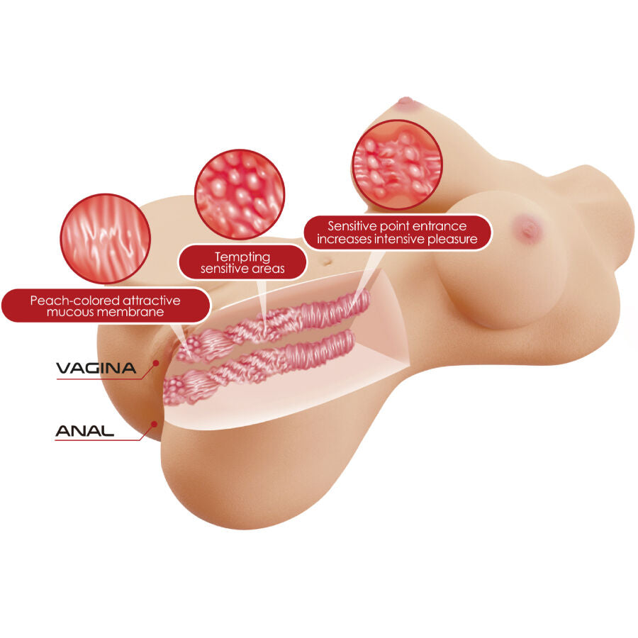 CRAZY BULL - HETTY REALISTISCHER WEIBLICHER TORSO VAGINA UND ANAL 1,9 KG Produktansicht und Details