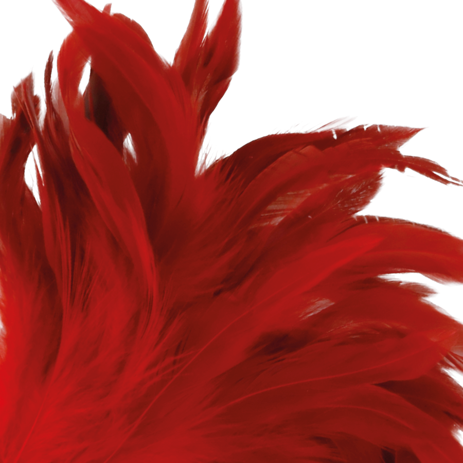 DARKNESS Roter Stimulierender Stift 24 cm – Erotisches Spielzeug | Secret Pulse – BDSM-Zubehör Bild 2