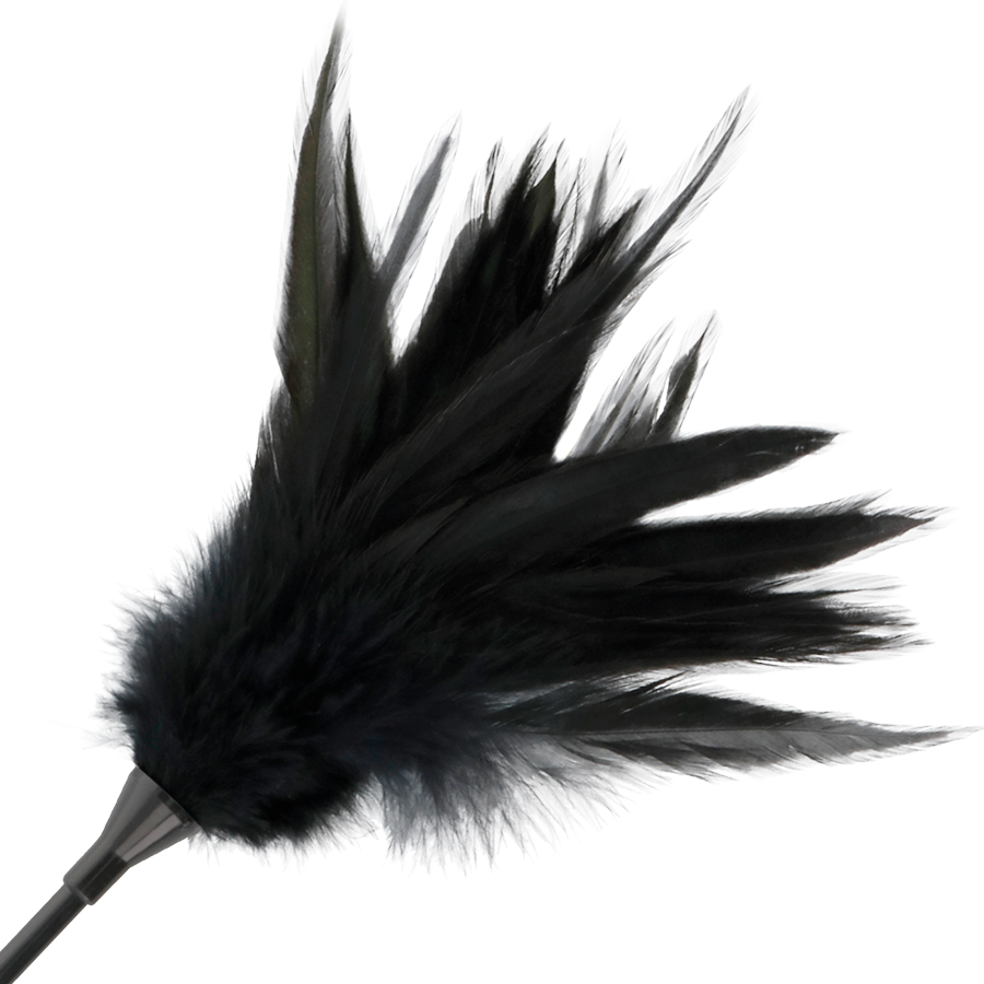 DARKNESS Schwarze Federpeitsche 48 cm – Doppelseitige Reitgerte | Secret Pulse bei Secret Pulse im Erotikshop