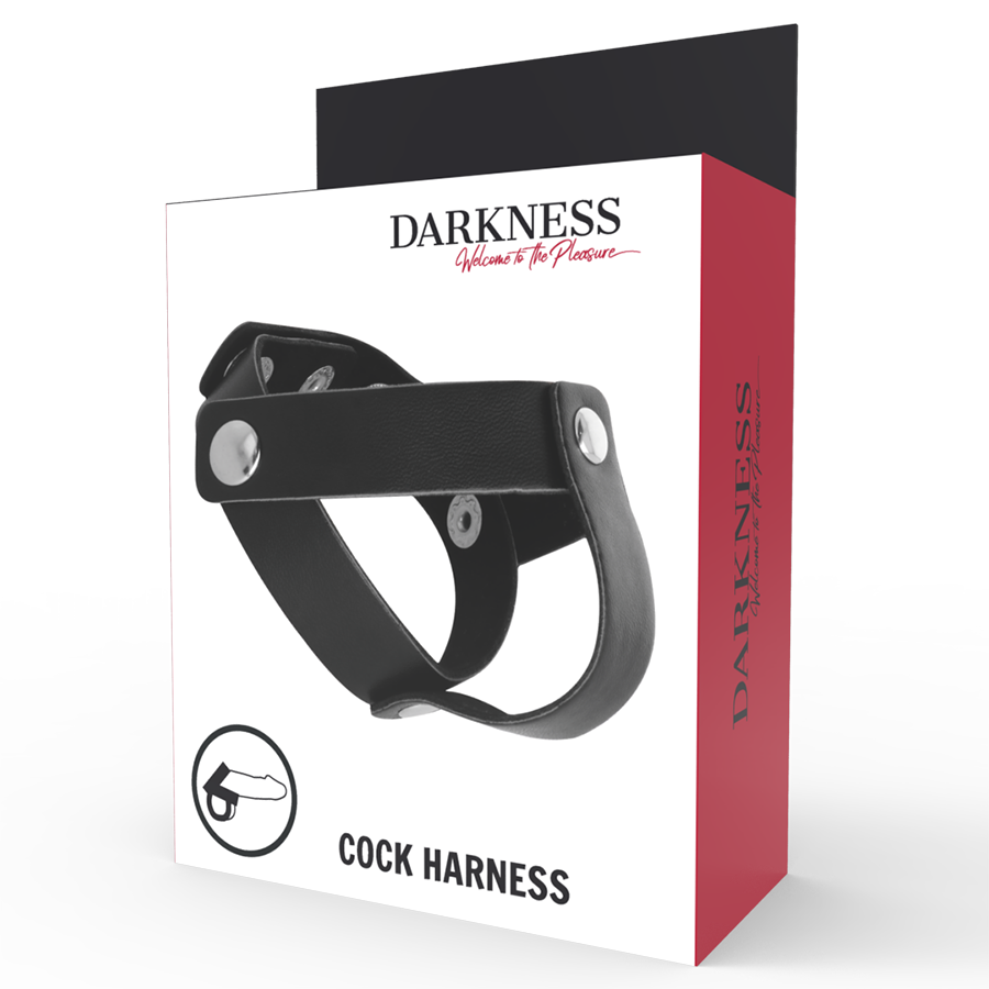 DARKNESS - HAUTRING FÜR PENIS UND HODEN – Penisring Bild 5