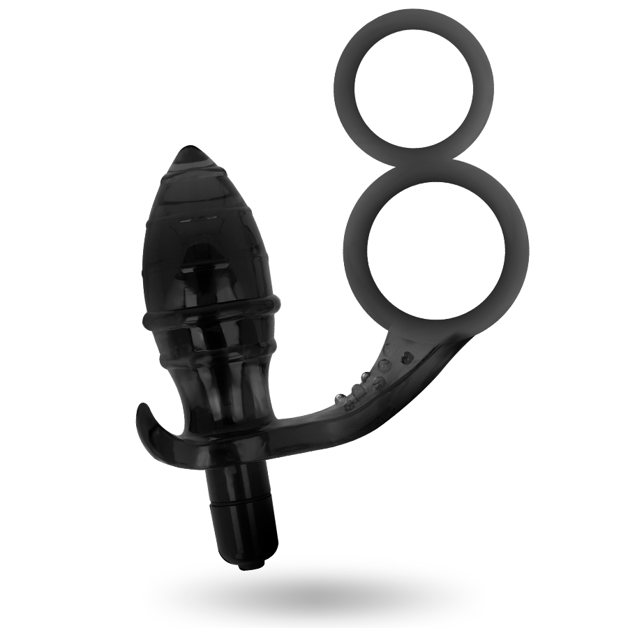 ADDICTED TOYS - ANALPLUG MIT DOPPELTEM SCHWARZEN RING für sinnliche und diskrete Momente